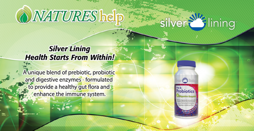 실버라이닝 제품으로 프리바이오틱스 프로바이오틱스 한번에 해결