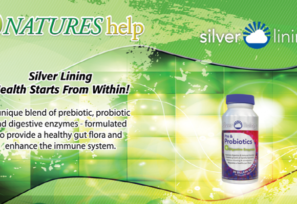 실버라이닝 제품으로 프리바이오틱스 프로바이오틱스 한번에 해결