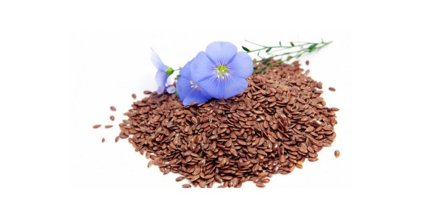 타임지가 선정한 10대 슈퍼푸드 생명의 씨앗, 천연영양의 보고 아마씨(Flaxseed) 효능