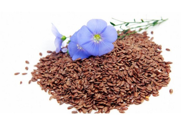 타임지가 선정한 10대 슈퍼푸드 생명의 씨앗, 천연영양의 보고 아마씨(Flaxseed) 효능