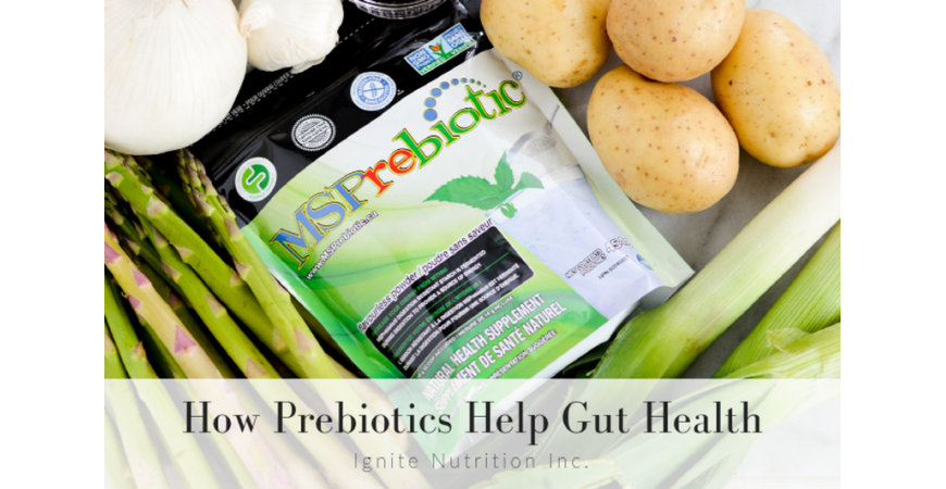 엠에스 프리바이오틱스 제품으로 비만세균 억제로 다이어트 효과  