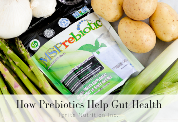 엠에스 프리바이오틱스 제품으로 비만세균 억제로 다이어트 효과  