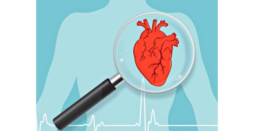 심장건강 심장병 심혈관질환 예방에 좋은 영양소 비타민