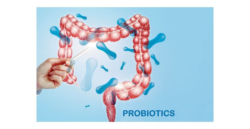 건강의 핵심인 장내 미생물, 마이크로바이옴(microbiome)과 면역력, 질병과의 관계