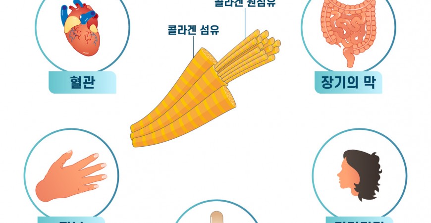 추워지는 날씨, 콜라겐으로 혈관건강 피부탄력 지켜야