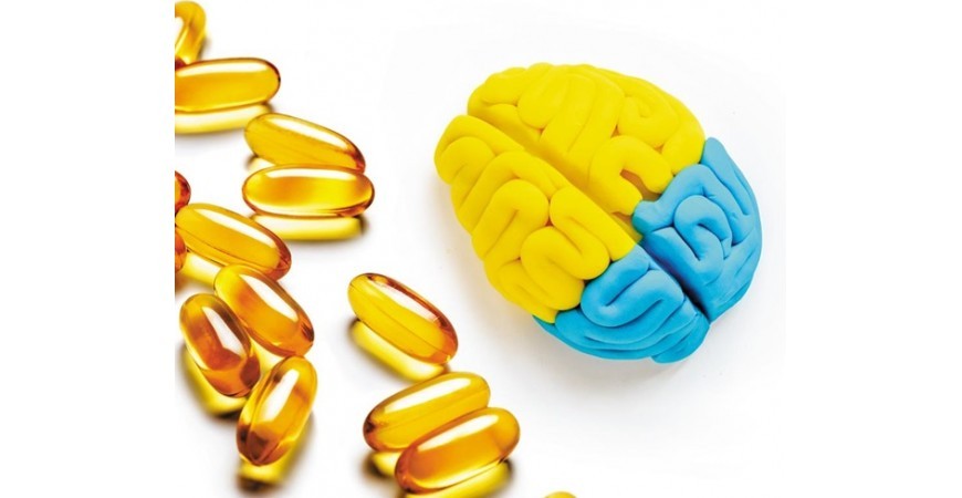 뇌의 노화 막아주는 뇌 건강 두뇌영양제 