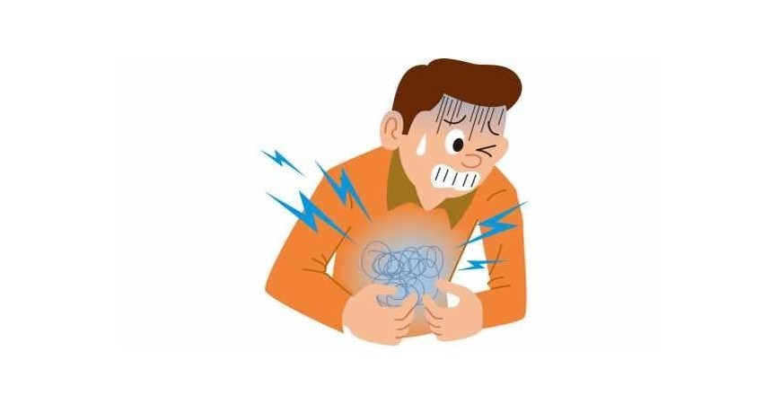 위산과다,위궤양,위염,역류성식도염 억제 영양제, 감초추출물 디지엘(DGL)