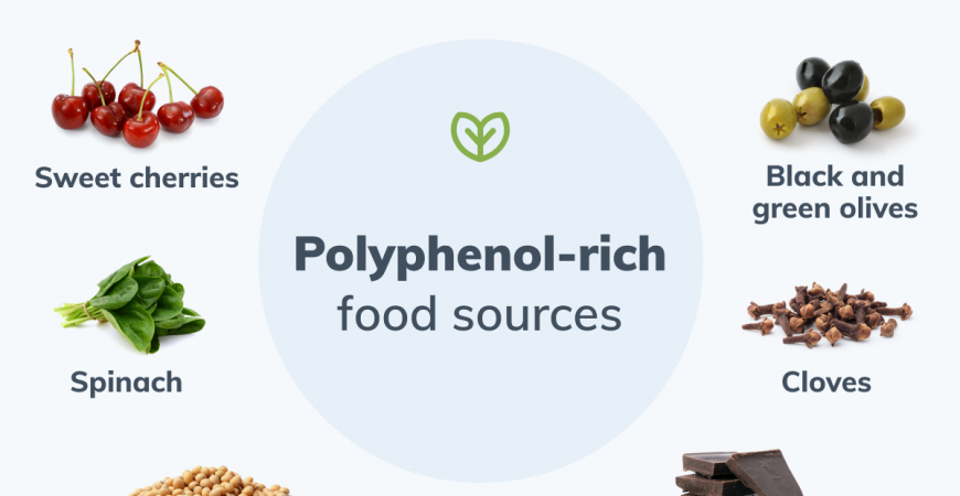 만성염증에 도움이 되는 항산화의 여왕 폴리페놀(polyphenols)