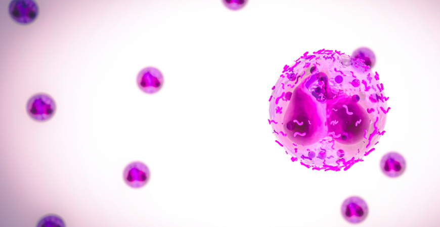 만병의 근원 염증 억제 하는 식품 및 보충제 