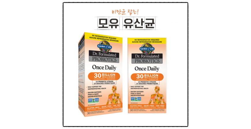 모유유산균 락토바실러스 가세리와 비만 다이어트 효능에 대해 알아봅니다