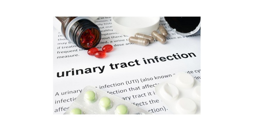 방광 및 요로 감염을 예방하고 개선하는 방법