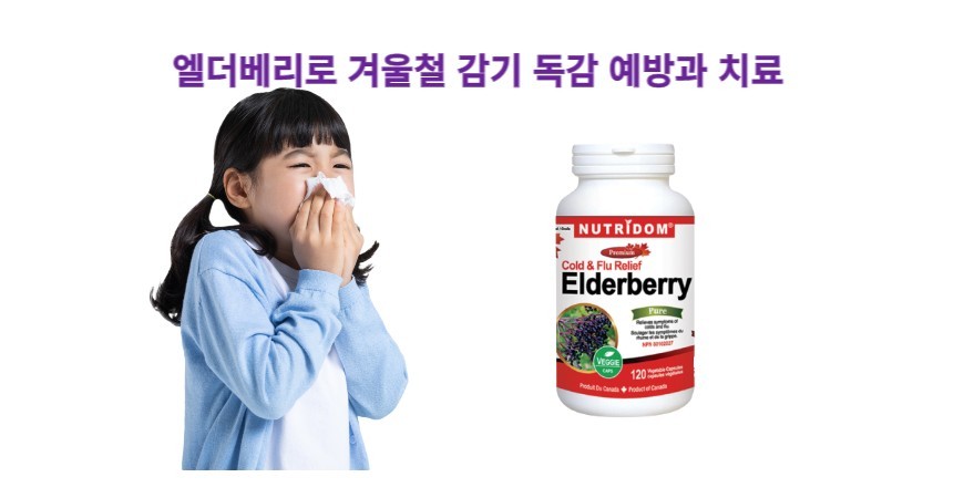 기적의 열매 삼부커스 엘더베리로 겨울철 감기 독감 예방과 치료