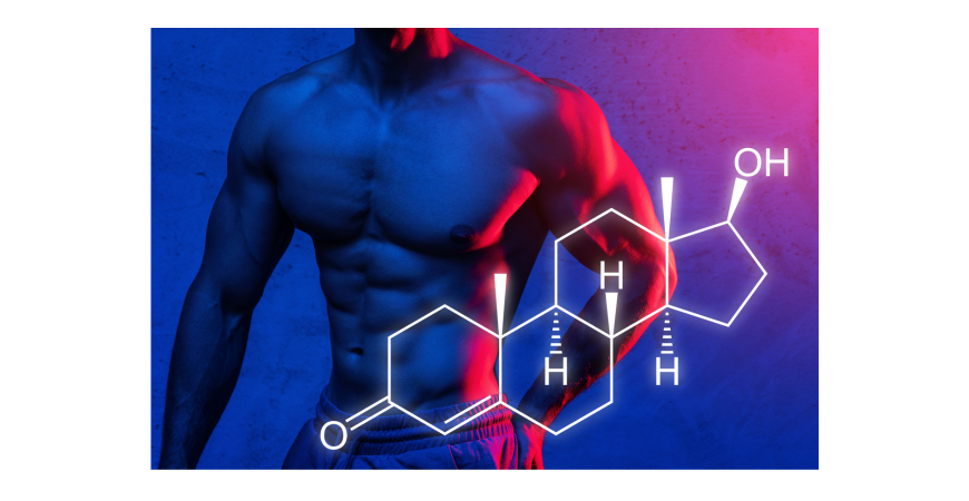 남성호르몬 테스토스테론(Testosterone) 보충을 위해 영양제 먹어야 하나요?