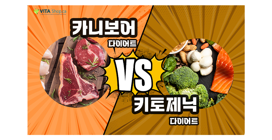 키토 다이어트 vs 카니보어 다이어트, 어떤 방법이 더 빨리 살이 빠질까?