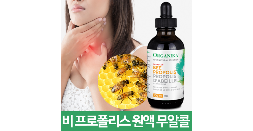 환절기 면역력, 항산화에 좋은 프로폴리스