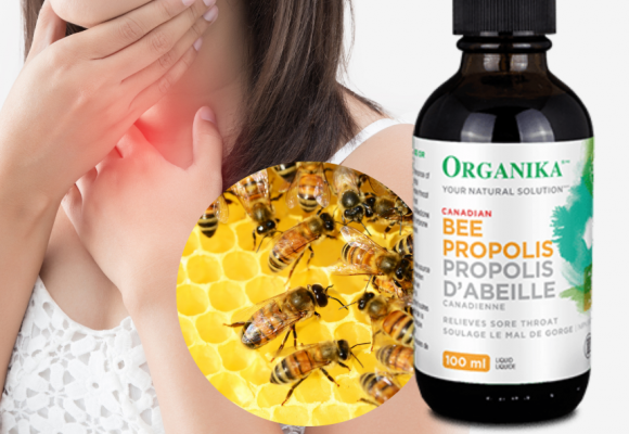 환절기 면역력, 항산화에 좋은 프로폴리스