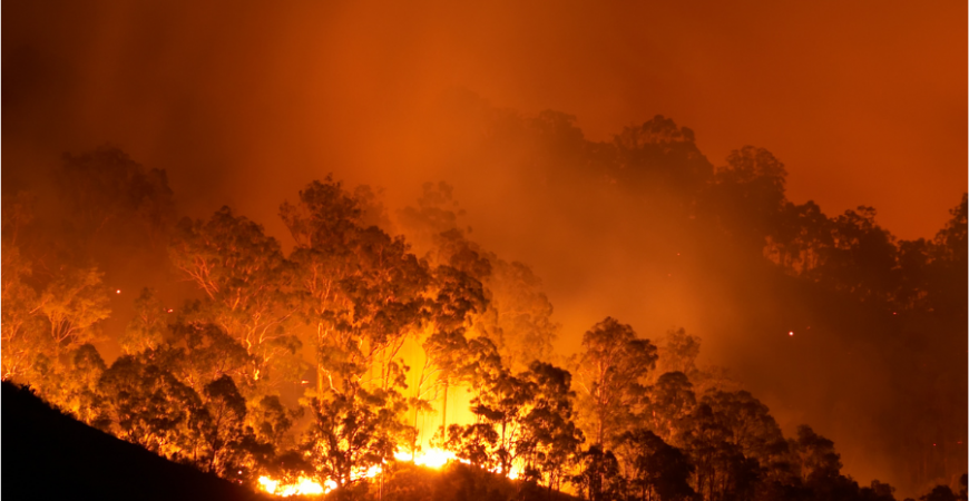 산불 연기의 대기 오염: 건강에 미치는 영향과 대응 방법