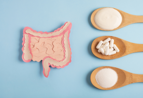 여름을 위한 프로바이오틱: 열에 민감한 균주를 고려하는 요소