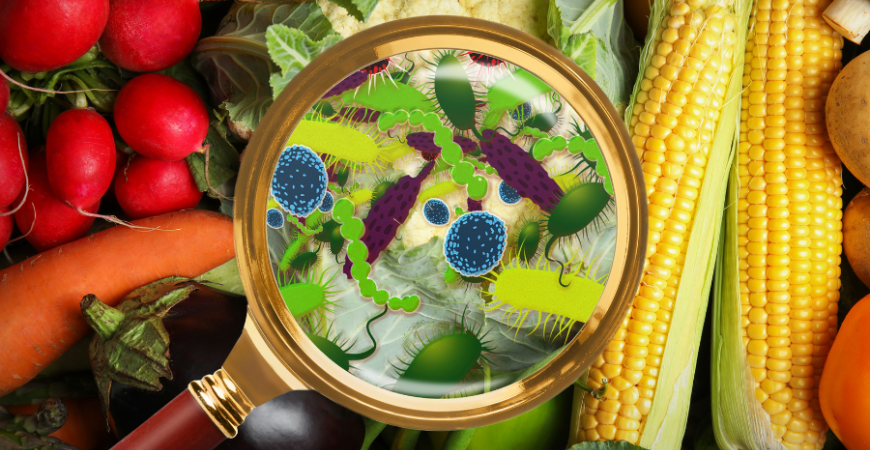 무심코 먹은 음식에 대장균이 있다!? 대장균 예방방법