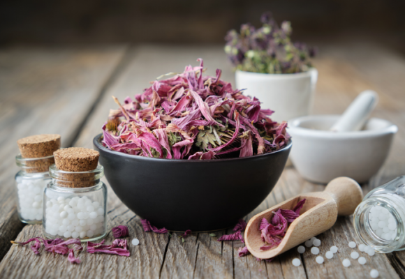 에키네시아 추출물의 10가지 효능: 건강을 지키는 천연 방패