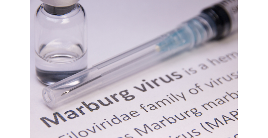 마버그 발병, 에볼라와 얼마나 다른가?