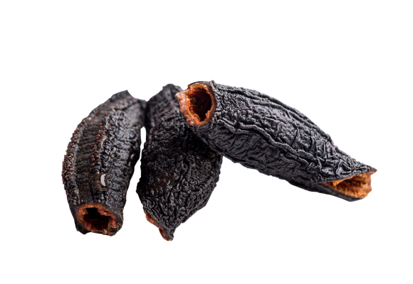 불로불사의 해삼,생해삼의 효능 25배 자랑하는 건해삼을 캡슐에 담았습니다.