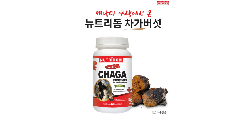 차가버섯(Chaga mushroom)의 면역증강 항암효과 기능, '신이 인간에게 내려 준 마지막 선물'