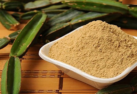 '하늘의 선물' 시서스가루 다이어트, 뼈건강에 탁월