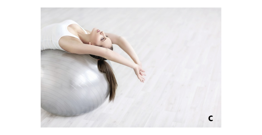 체지방 줄여주는 다이어트 보조제 영양제