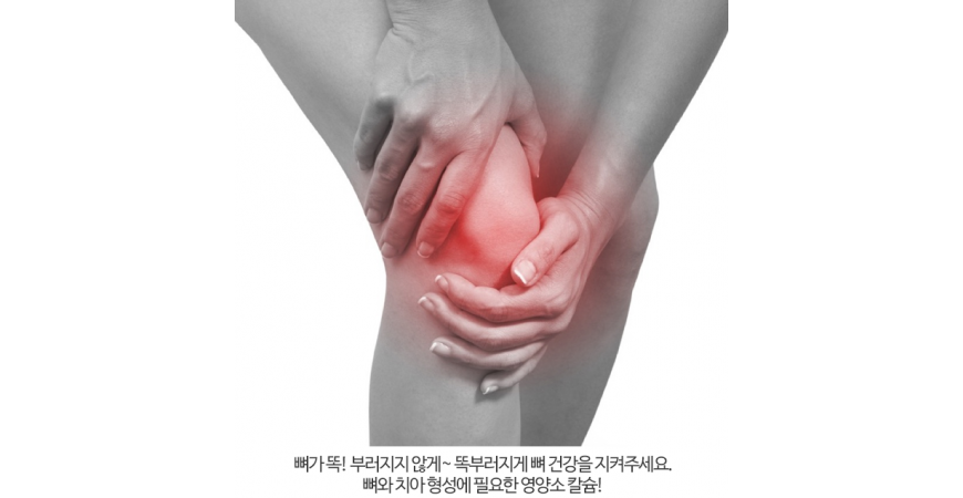 칼슘 영양제 구입시 체크사항