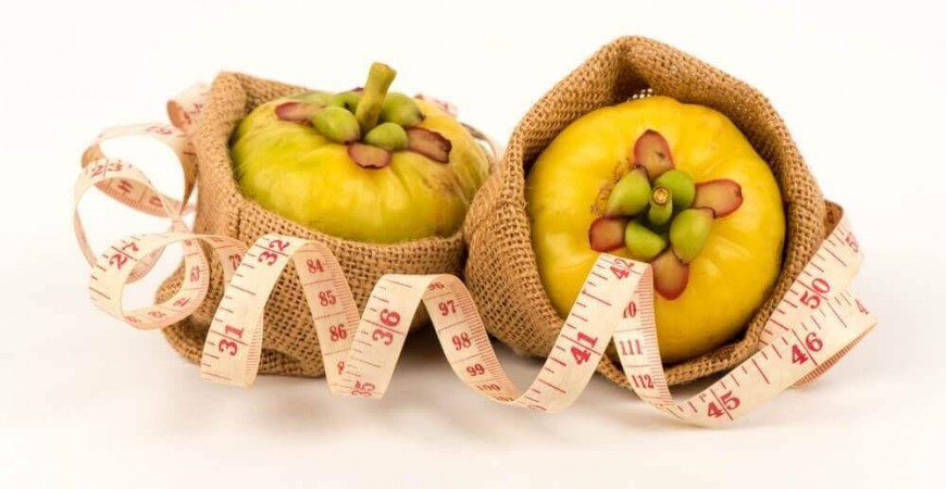 가르시니아캄보지아 추출물,천연 다이어트 보조제로 각광받아