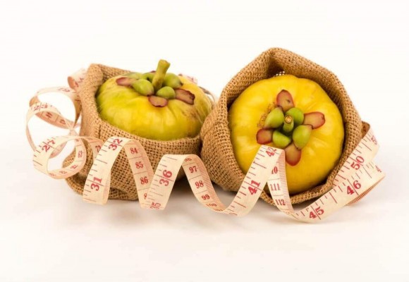 가르시니아캄보지아 추출물,천연 다이어트 보조제로 각광받아