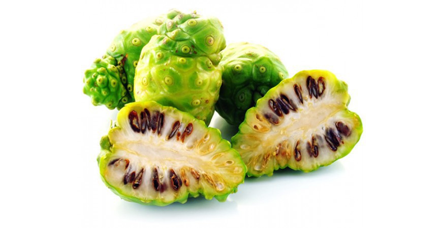 신이 내린 열매 노니의 효과