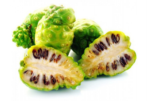 신이 내린 열매 노니의 효과