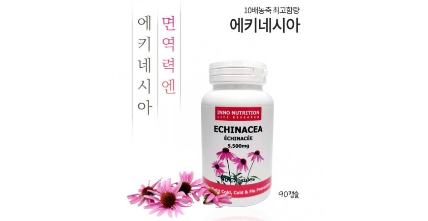 전통의 면역 증강제, 에키네시아 감기 예방에 효과 있다