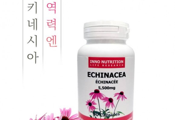 전통의 면역 증강제, 에키네시아 감기 예방에 효과 있다