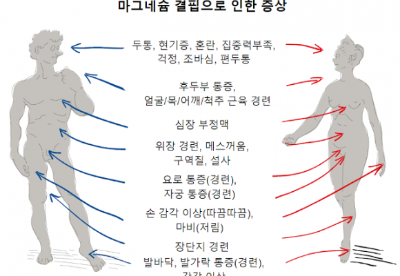 마그네슘 영양제를 우선시해야 하는 주요 이유
