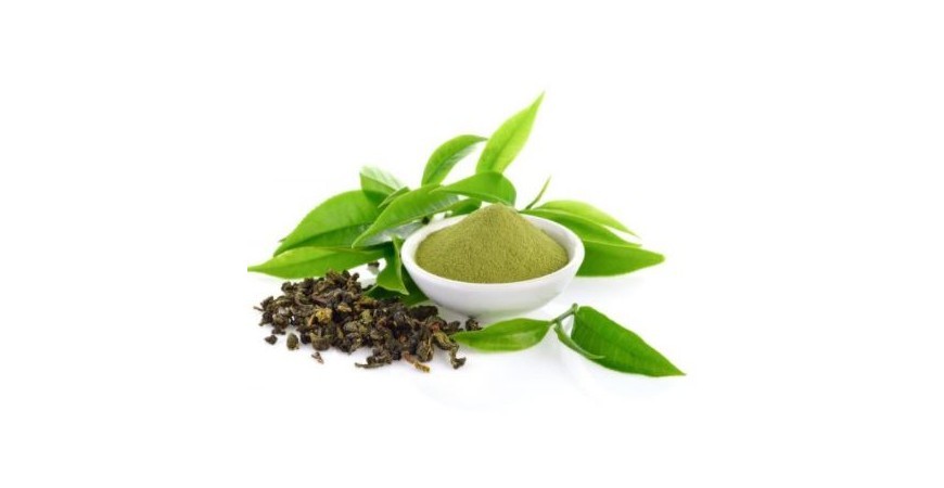 두뇌건강 증진 및 스트레스 감소에 좋은 녹차의 성분 엘 테아닌(L-THEANINE)