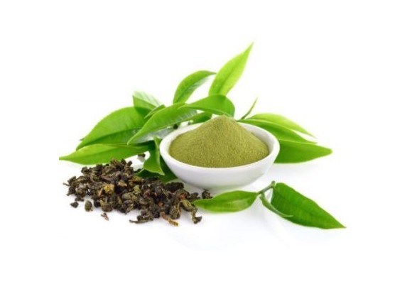 두뇌건강 증진 및 스트레스 감소에 좋은 녹차의 성분 엘 테아닌(L-THEANINE)