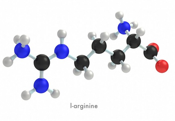 남성, 운동인에게 꼭 필요한 아미노산, 엘 아르기닌(L-arginine)